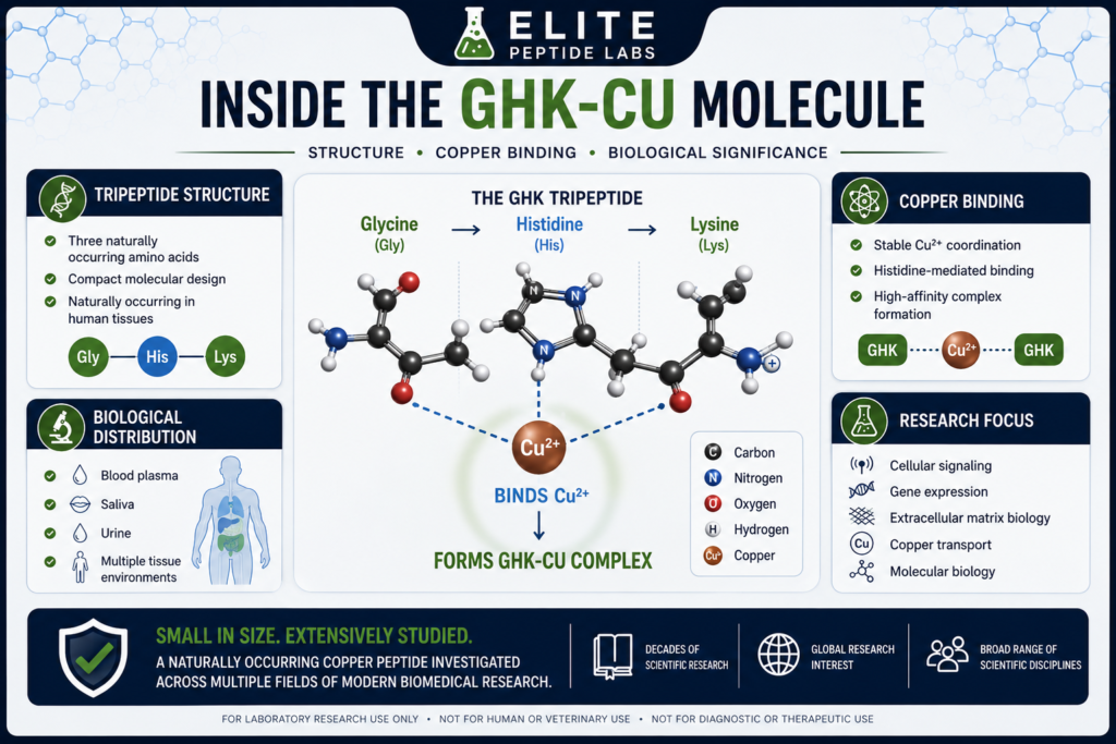 Inside the GHK-Cu molecule infographic